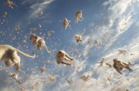 Image of monkeys falling from the sky.