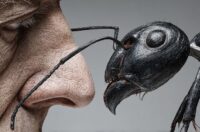 Image of a face off between a human and a giant ant.